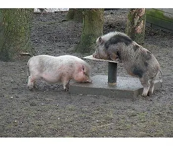 Naturistenpark Flevonatuur * Nijkerk